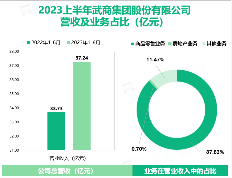 2023上半年武商集团股份有限公司营收及业务占比（亿元）