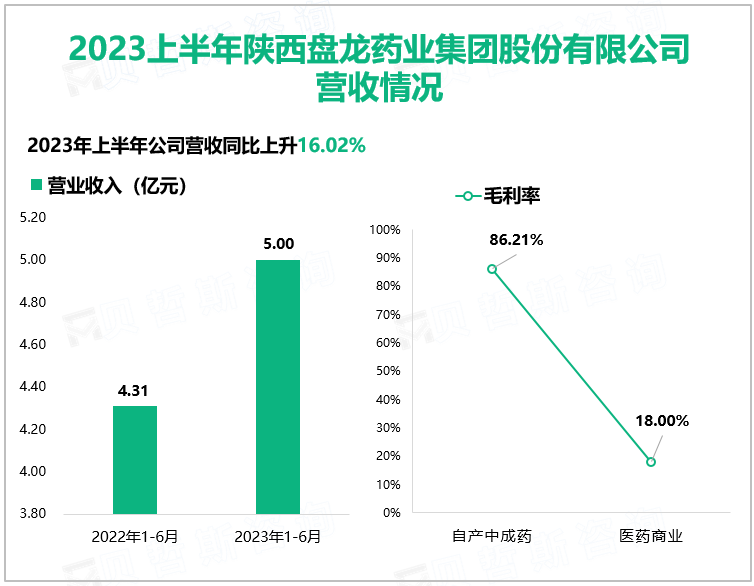 2023上半年陕西盘龙药业集团股份有限公司营收情况