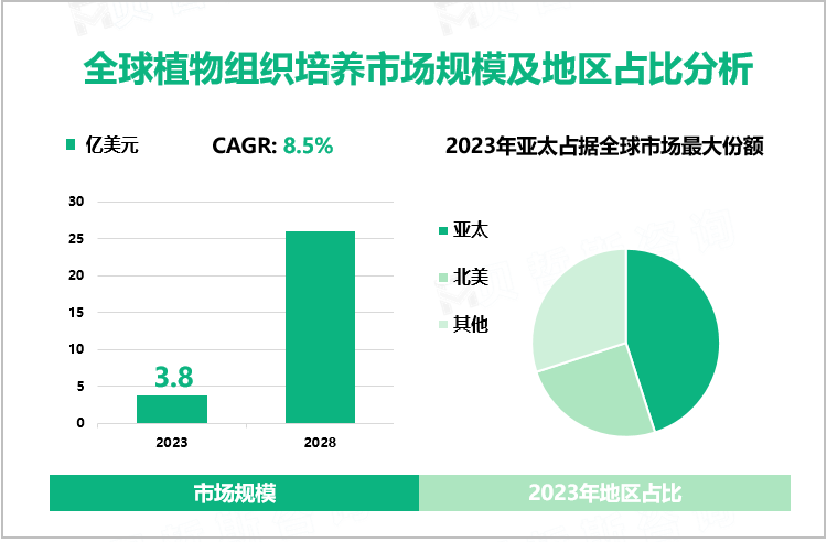 2023年植物组织培养行业现状：全球市场规模达3.8亿美元，亚太占比最大