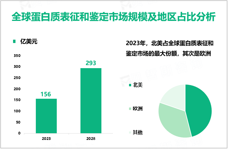 全球蛋白质表征和鉴定市场规模及地区占比分析