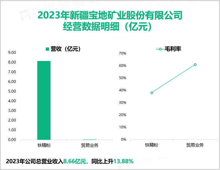 宝地矿业以打造国内一流的现代化矿业企业为目标，其营收在2023年达到8.66亿元