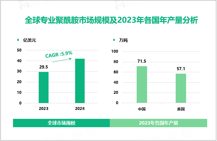 全球专业聚酰胺市场规模及2023年各国年产量分析