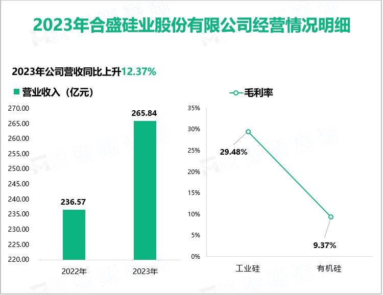 2023年合盛硅业股份有限公司经营情况明细